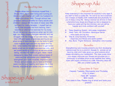 Shape-Up Aiki Brochure